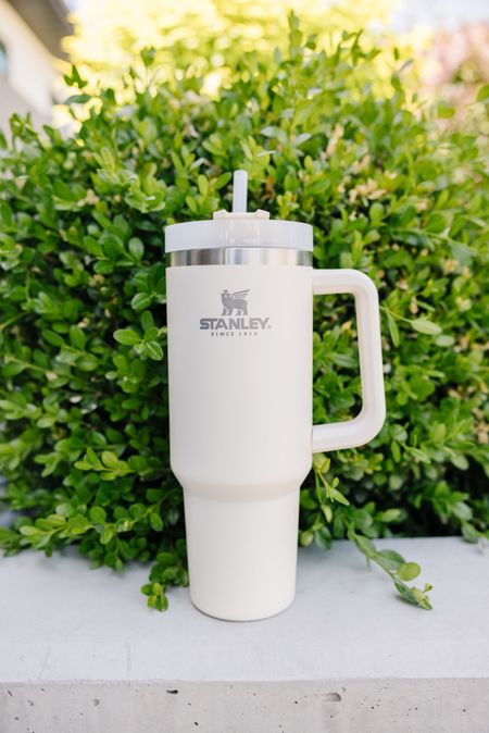The perfect summer cup.. I’ve toted one of these around for going on three years now and idk how I ever lived without it. Besides Braun, it is the perfect companion. haha @stanley_brand

#LTKunder50 #LTKGiftGuide