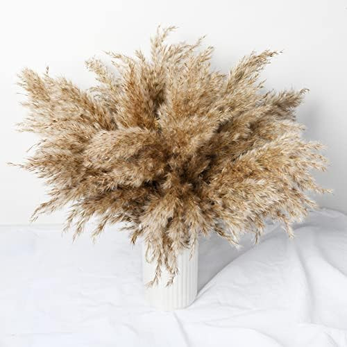 35 Stems Natural Dried Fluffy Pampas Grass Decor 17Inch for Home Boho Decor, Short Pompas Dried F... | Amazon (US)