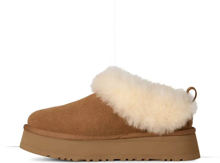 Tazzelle Genuine Shearling Collar Slipper (Women) | Nordstrom
