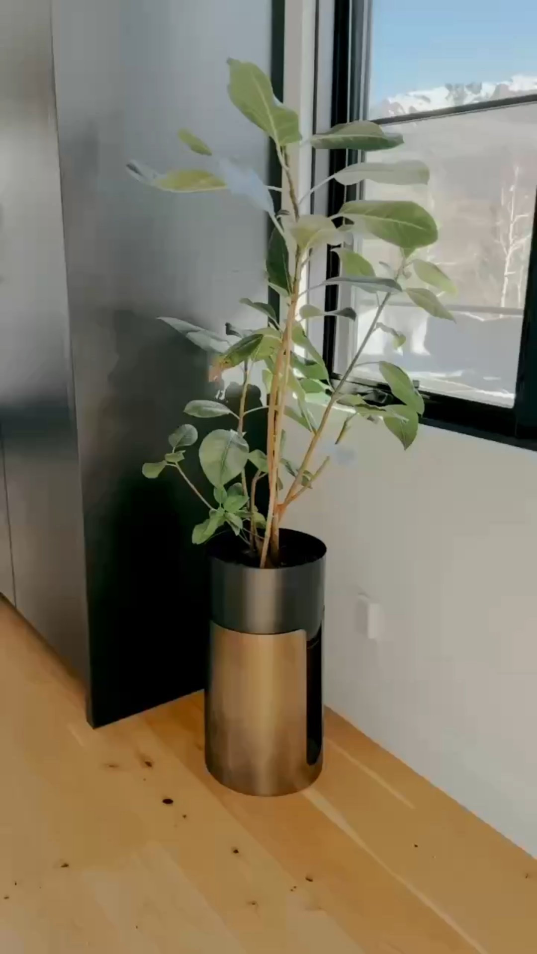 I love this stunning modern gold and black planter! Comes in 2 sizes. 

#LTKHome #LTKSeasonal