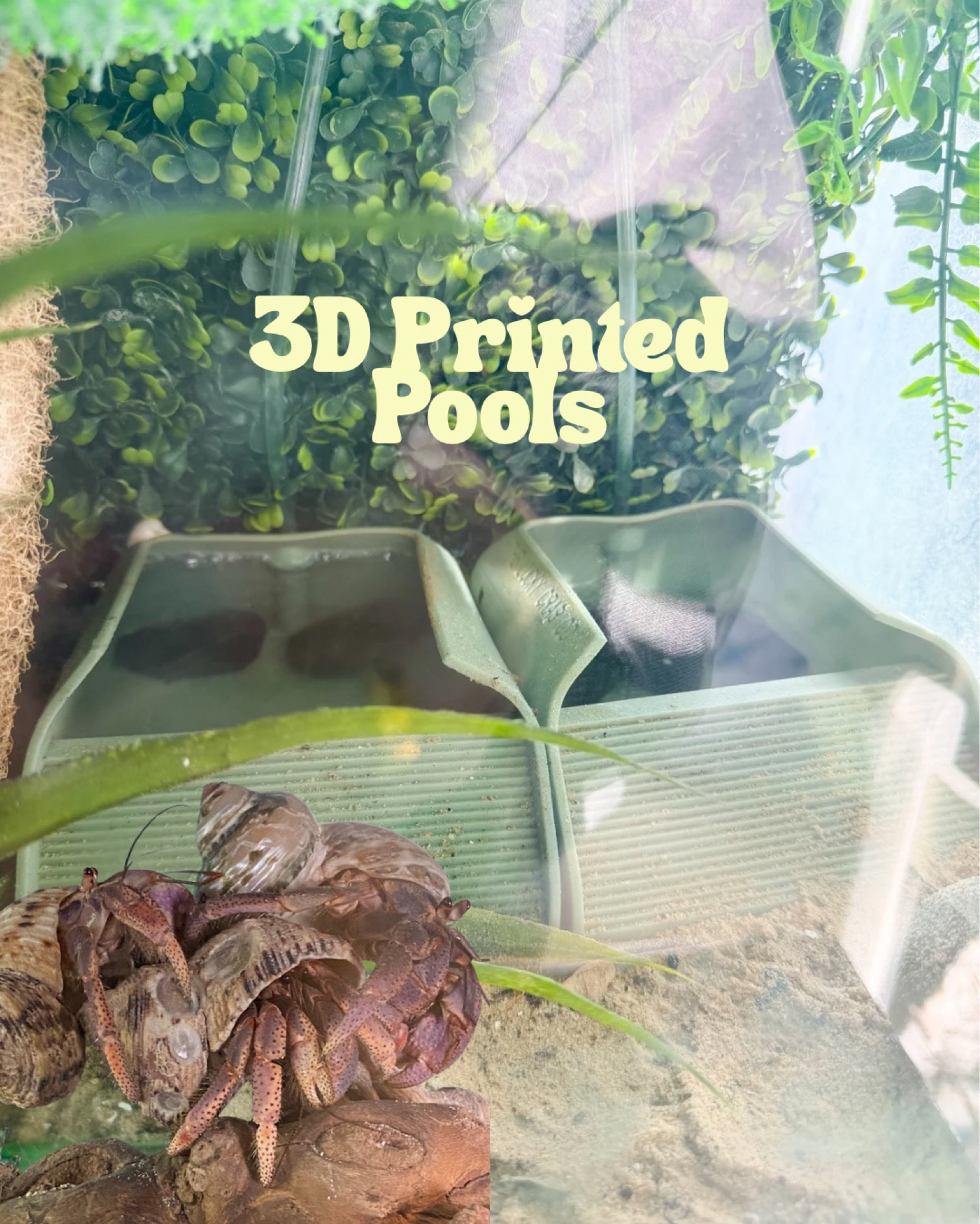 3D printed pools with built in bubbler system for hermit crabs!
