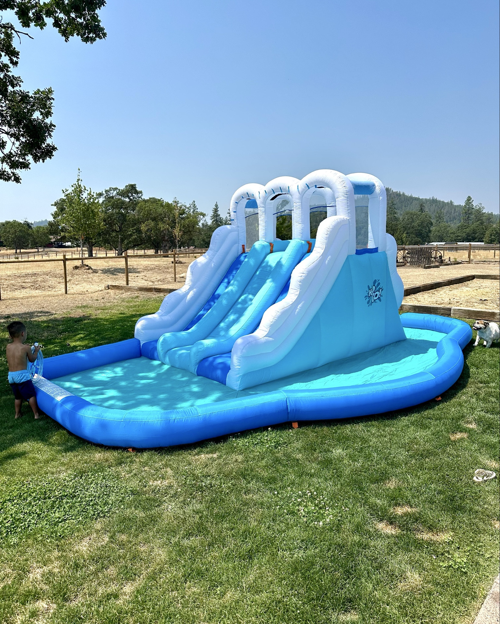 Amazon Waterslide 

#LTKSummerEdit #LTKHome #LTKSwim