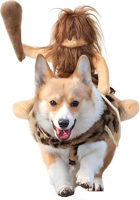 DELIFUR Dog Halloween Costume Funny Dog Cowboy Riding Costume Pet Costume Cat Suit Cowboy Rider S... | Amazon (US)