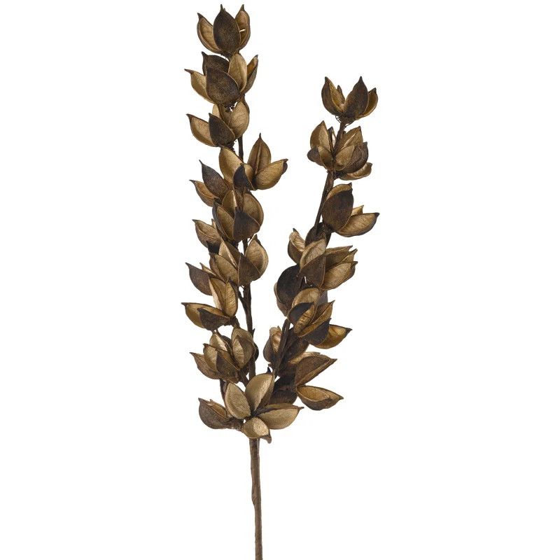 Cotton Arrangement | Wayfair North America