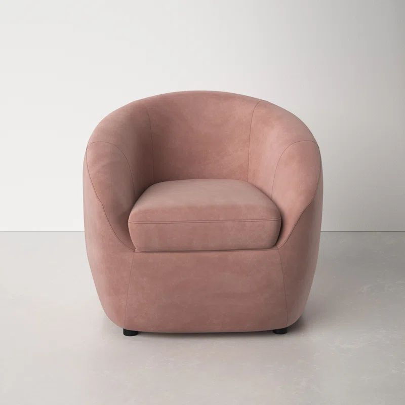 Stargazer Upholstered Barrel Chair | Wayfair North America