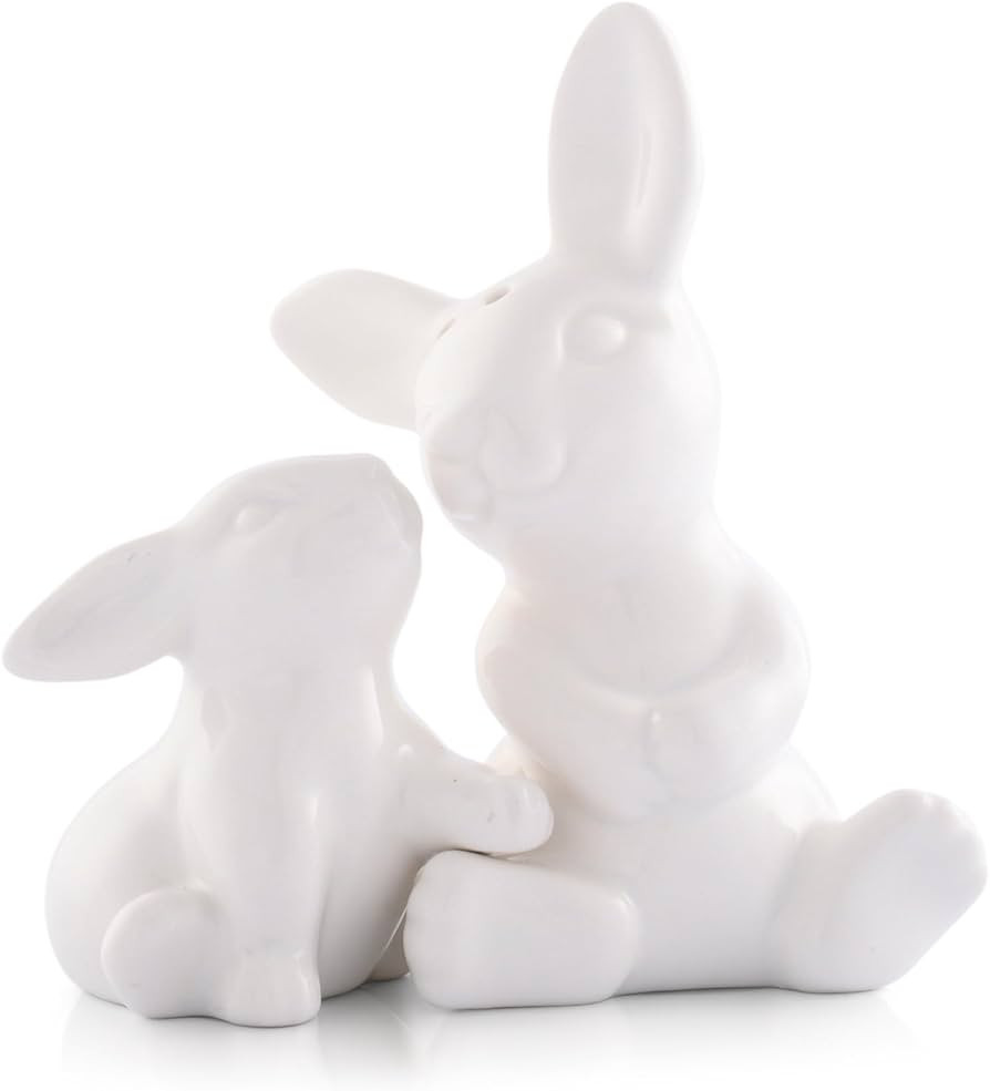 Arthur Court White Stoneware Mother and Baby Easter salt and pepper shakers set, Durable and Easy... | Amazon (US)