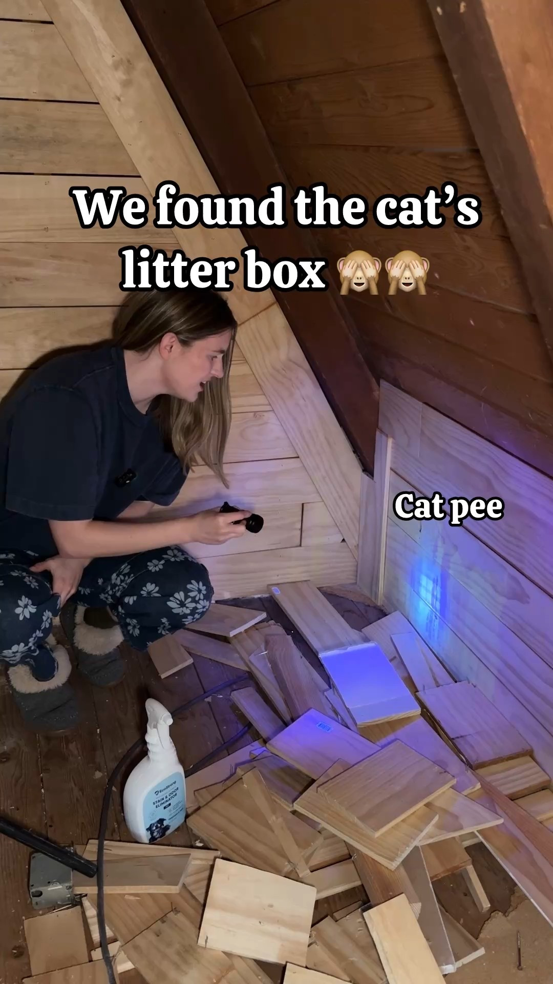 Everything I used to get rid of the cat pee smell!

Black light flashlight, urine enzyme cleaner 


#LTKHome #LTKstorytime #LTKvlog