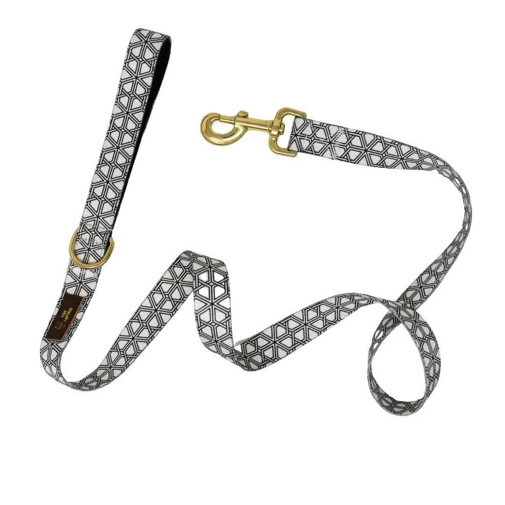 Pink Papyrus Avery Dog Leash - 4ft | Target
