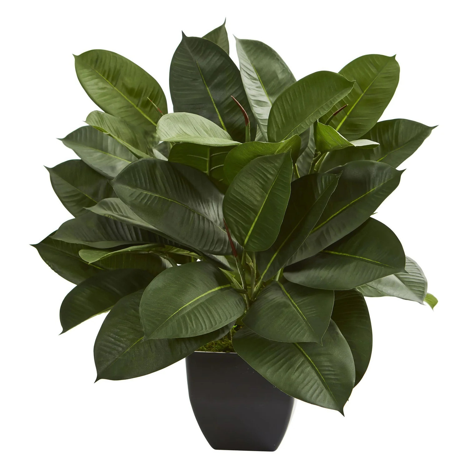 Oak Ficus Artificial Plant | Nearly Natural | Nearly Natural