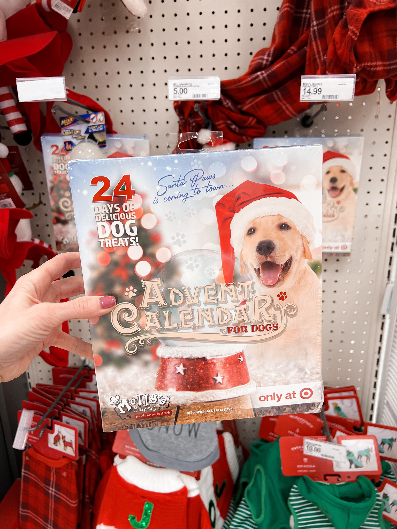 Advent Dog Calendars and more! Target finds! 

#LTKHoliday #LTKSeasonal #LTKGiftGuide