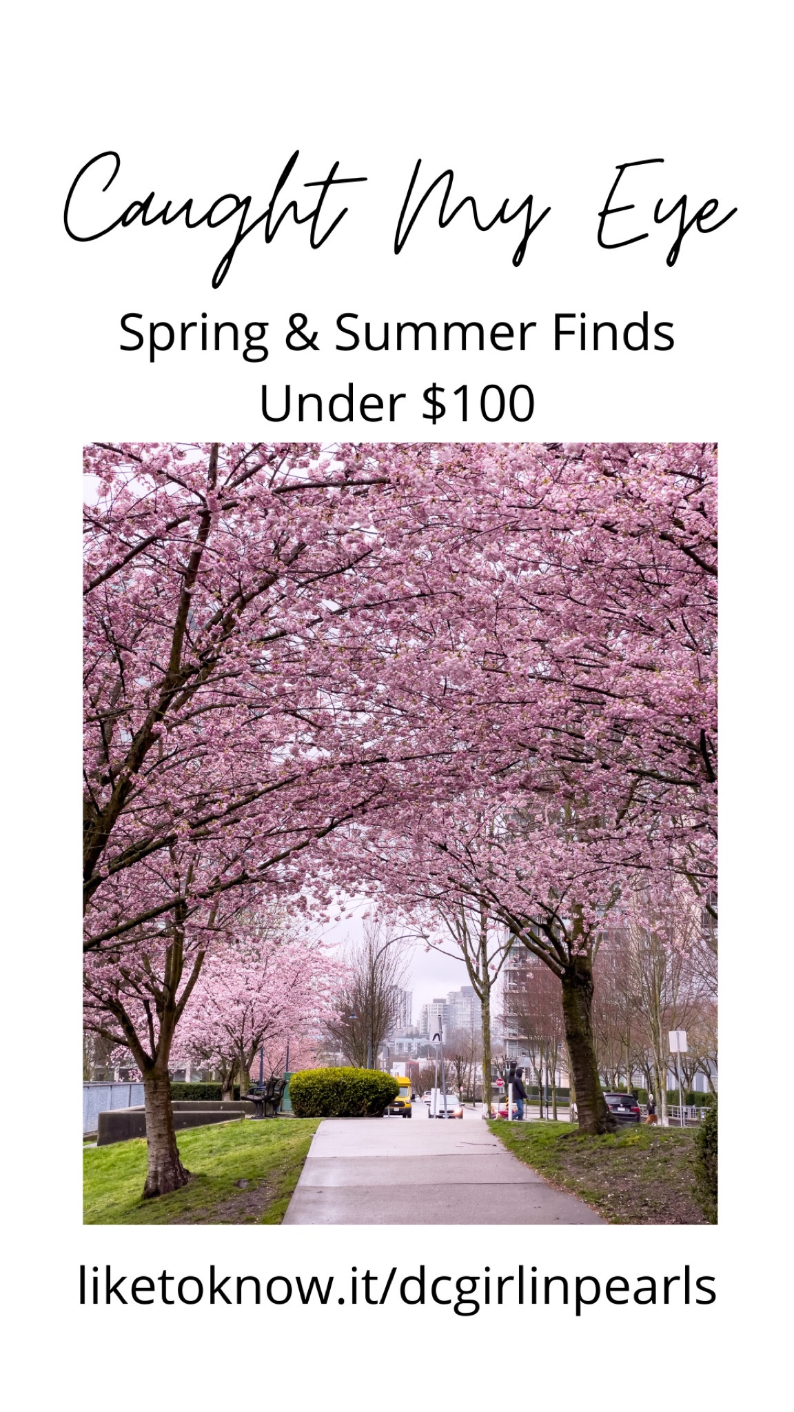 Caught My Eye - Spring and Summer Finds Under $100

#preppy #classicstyle #preppystyle #amazonfind #birks #rattan 

#LTKunder100 #LTKunder50 #LTKSeasonal