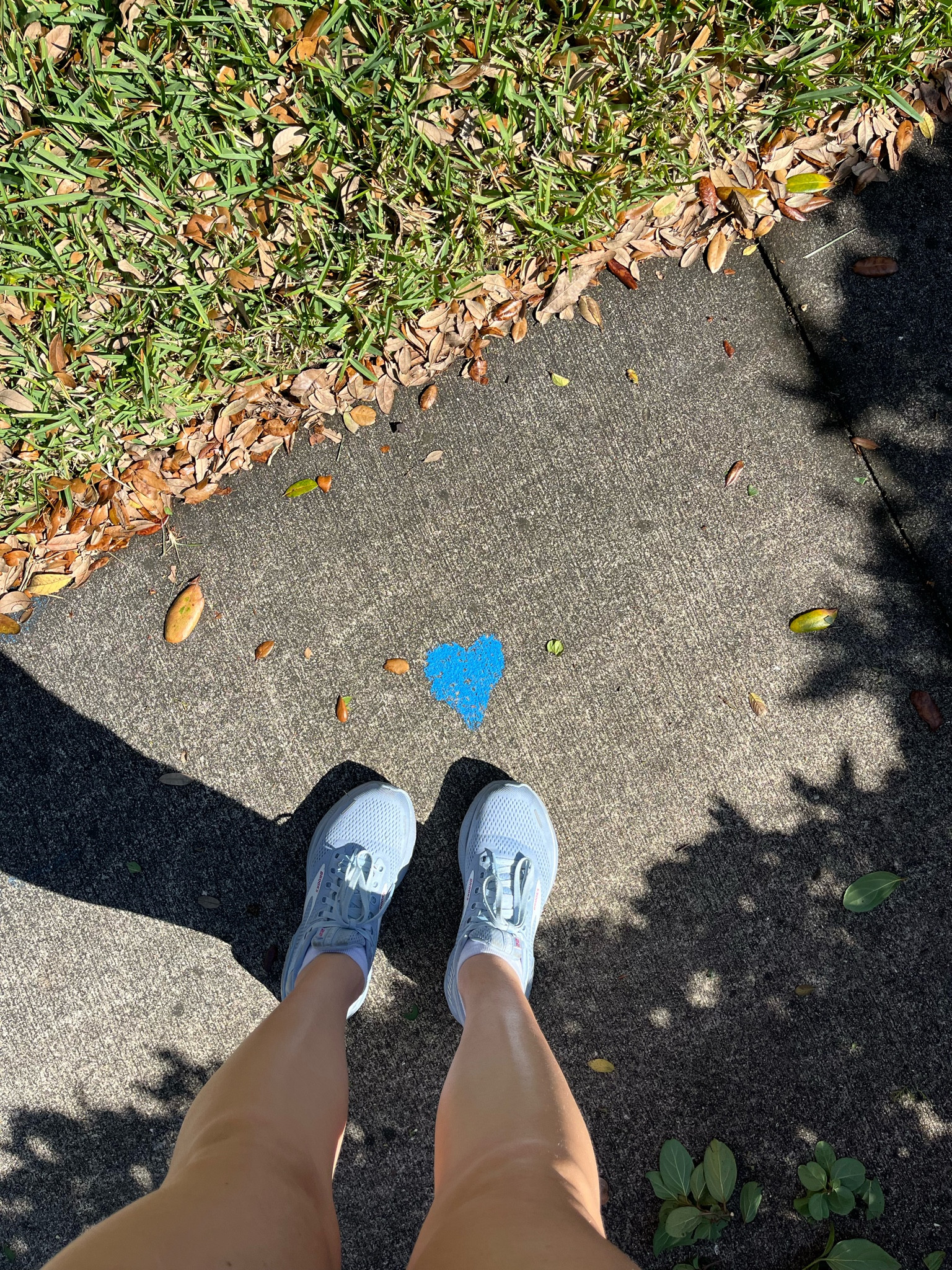 Good vibes all around with my favorite running shoes 💙



#LTKTravel #LTKFitness #LTKActive