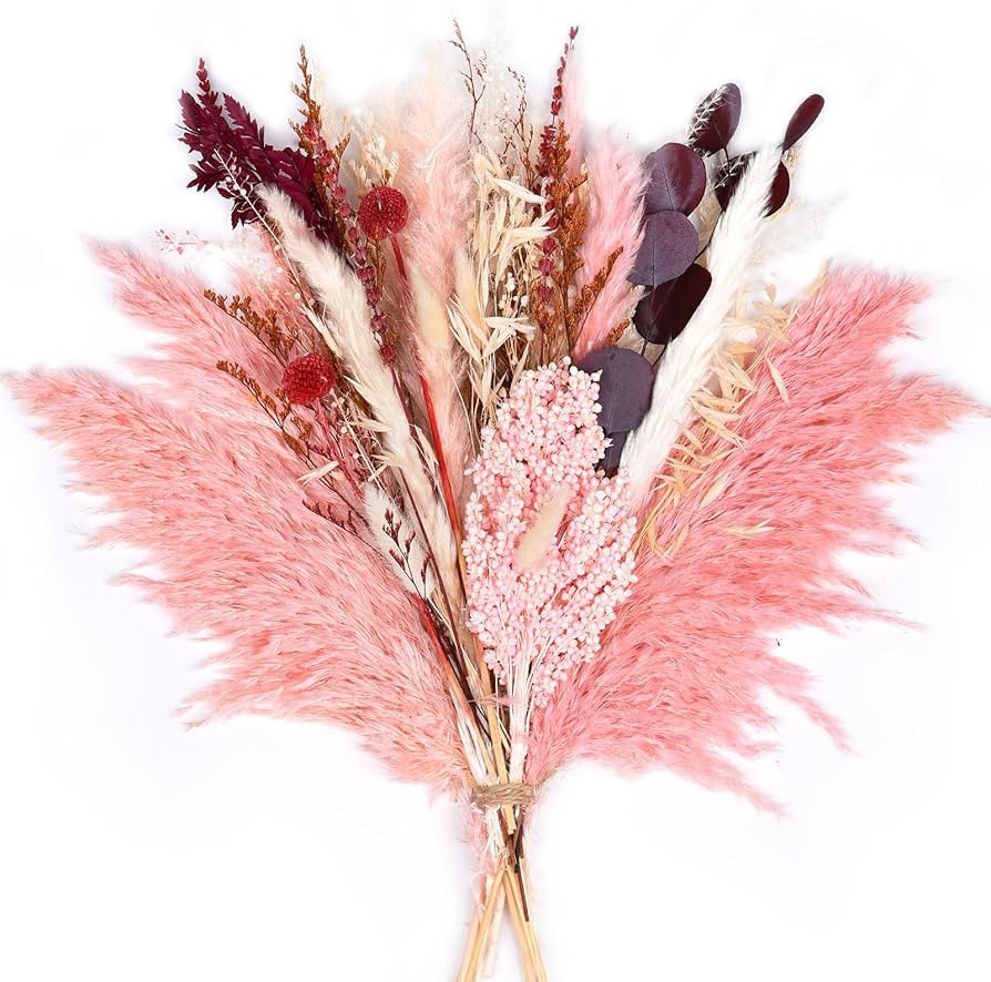 DearHouse Natural Dried Pampas Grass Bouquet,17'' Pink Boho Home Decor Bouquet, Phragmites Dried ... | Amazon (US)