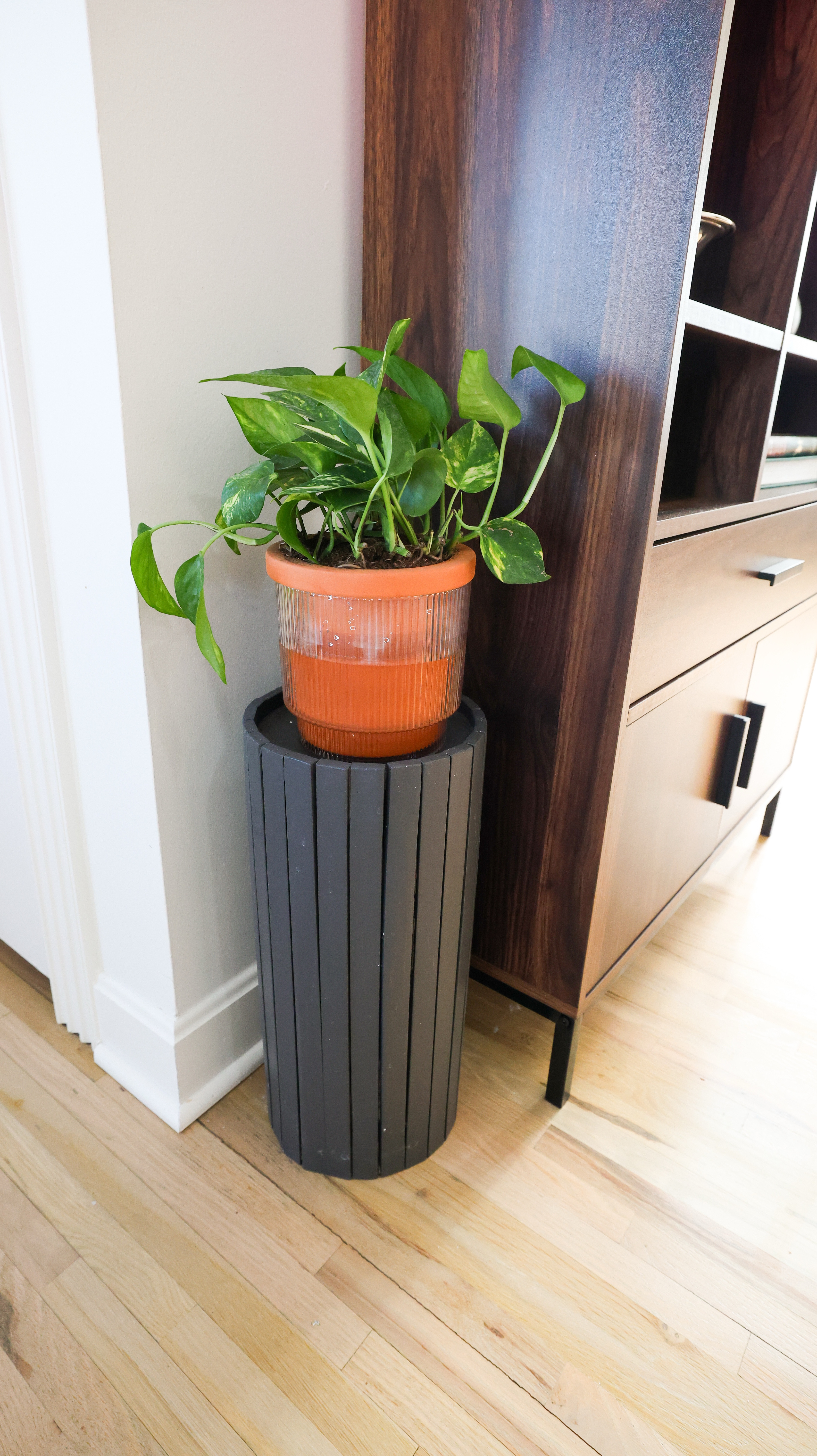 These Walmart Terracotta Planters are SO good! 🙌

#LTKHome #LTKMostLoved #LTKWatchNow