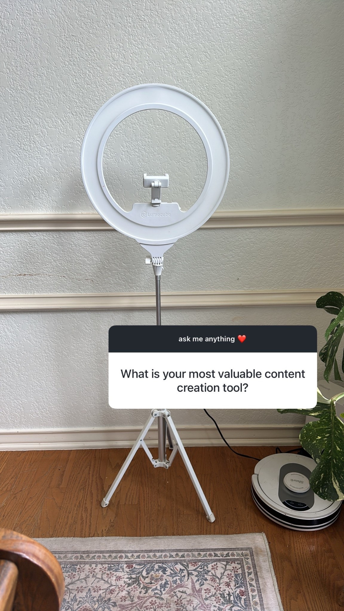 my most used content creation tool lately 🤍

good lighting really does make all the difference—especially for real life, everyday filming

this ring light + tripod setup has been so easy to use anywhere in the house

linked here if you need a simple setup

#LTKmomlife #LTKdayinmylife #LTKstorytime