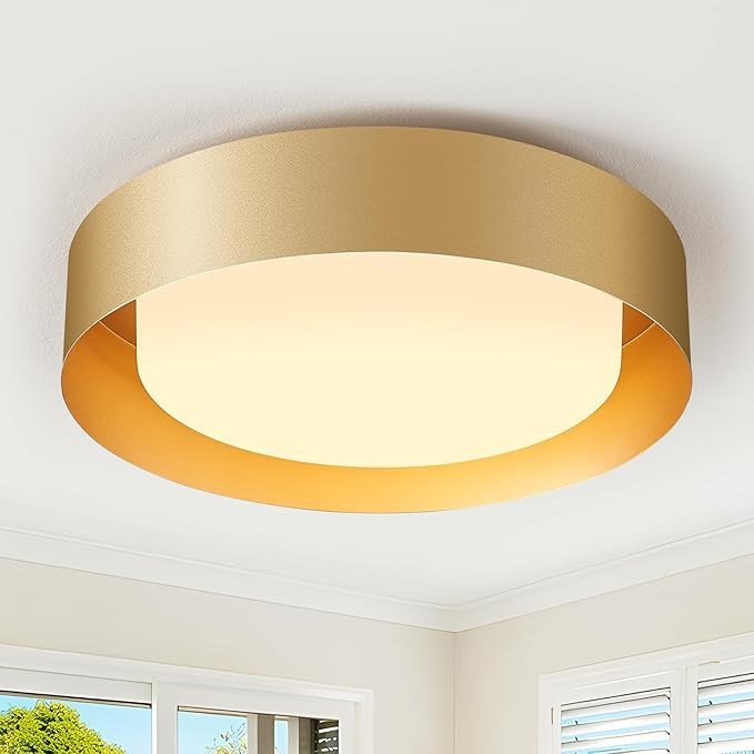 Goomavi Modern Flush Mount Ceiling Lights, Minimalist 12.5IN Round Close to Ceiling Light Fixture... | Amazon (US)
