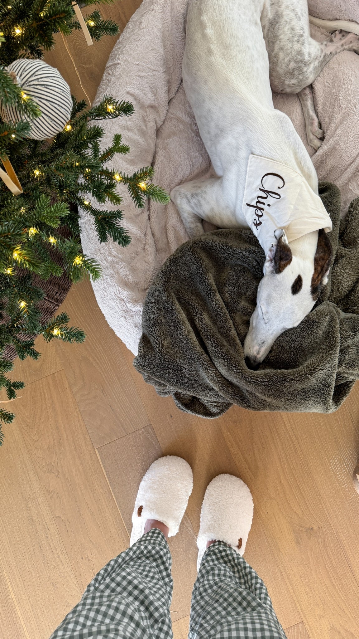 My pup loves this cozy donut bed!! Also linking my $14 slippers, both from Amazon and make great gift ideas!

Holiday gifts, christmas gifts, gift ideas, homebody gift, Christmas gift

#LTKHoliday