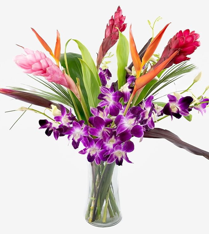 Fresh Orchids and Tropical Flower Bouquet, Purple Orchids, Red Ginger, Heliconia, Mixed Foliage, ... | Amazon (US)