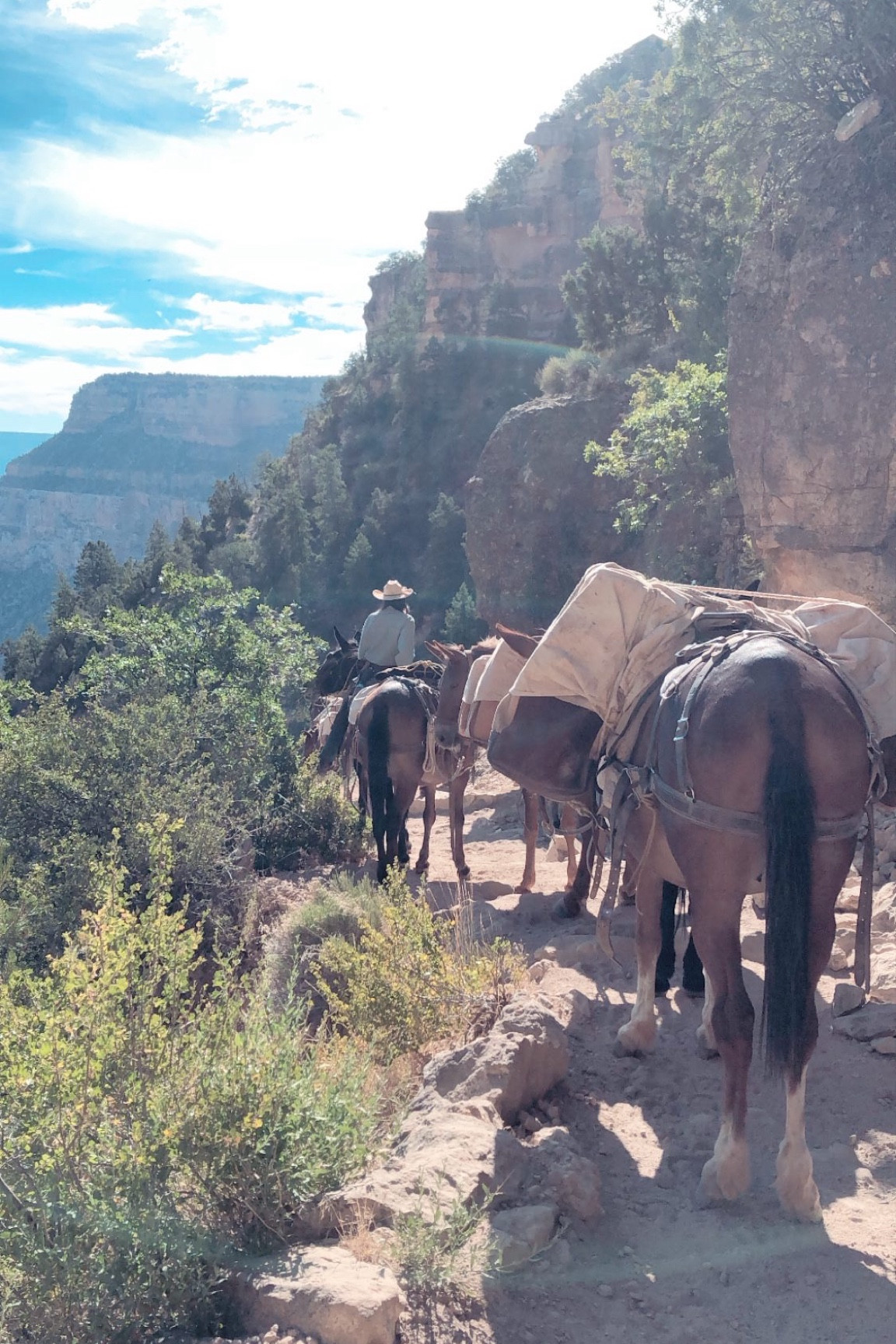 Arizona dreaming 🏜️ Linking my favorite hiking boots and gear to hike the Grand Canyon!! We loved swimming in one of the rivers here and spending time around all the mules!

#LTKActive #LTKTravel #LTKSeasonal
