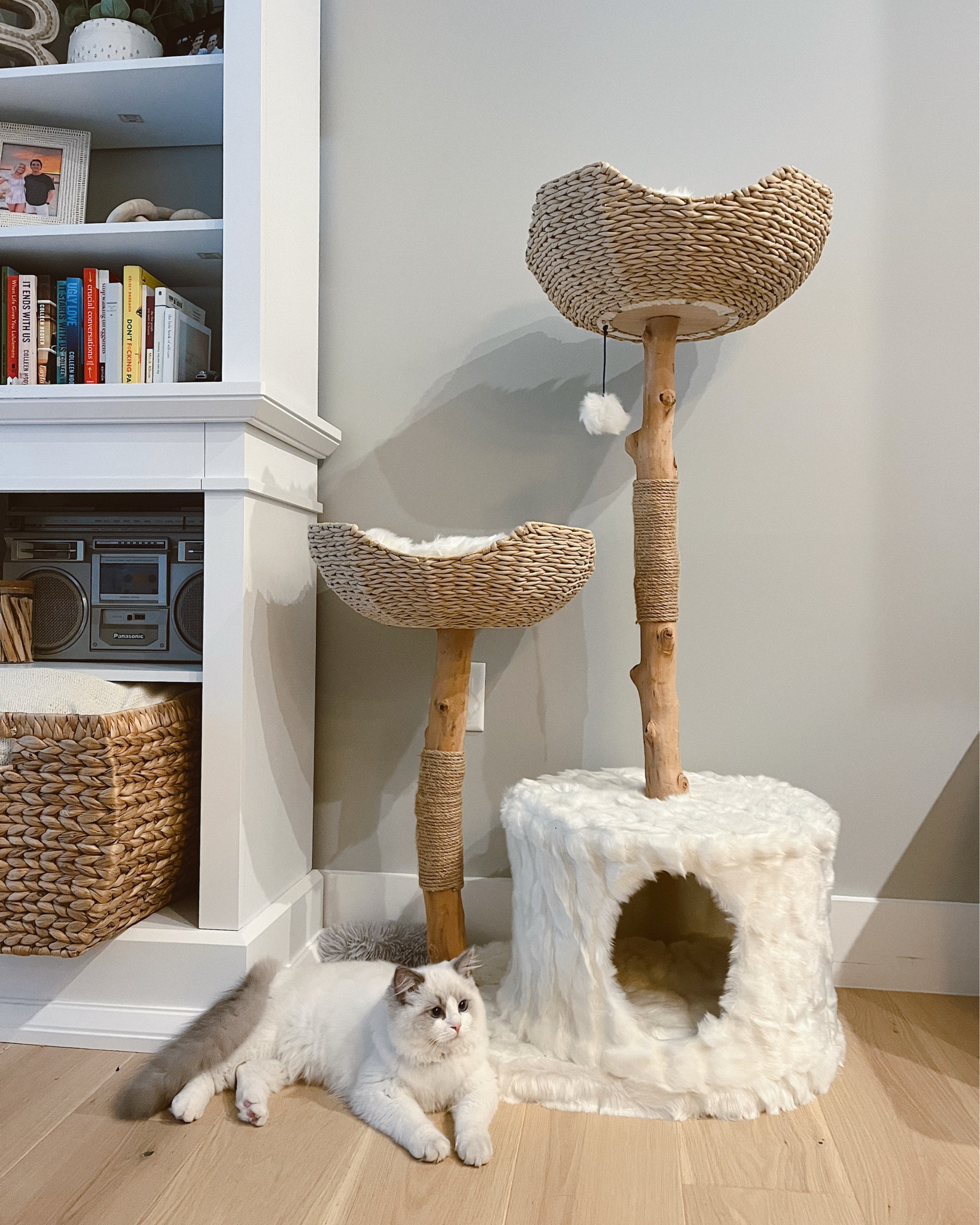 Because cat furniture doesn’t have to ruin your aesthetic 😻
This modern cat tree from Mau Pets is literally STUNNING & my cats are obsessed. I found mine on Amazon.
I got the Cento in white (2 tiers = perfect for 2 cats), but it comes in a bunch of colors + sizes depending on how many fur babies you have. Linked my exact one + similar styles 🐾✨#LTKPets #LTKGiftGuide

#LTKHome