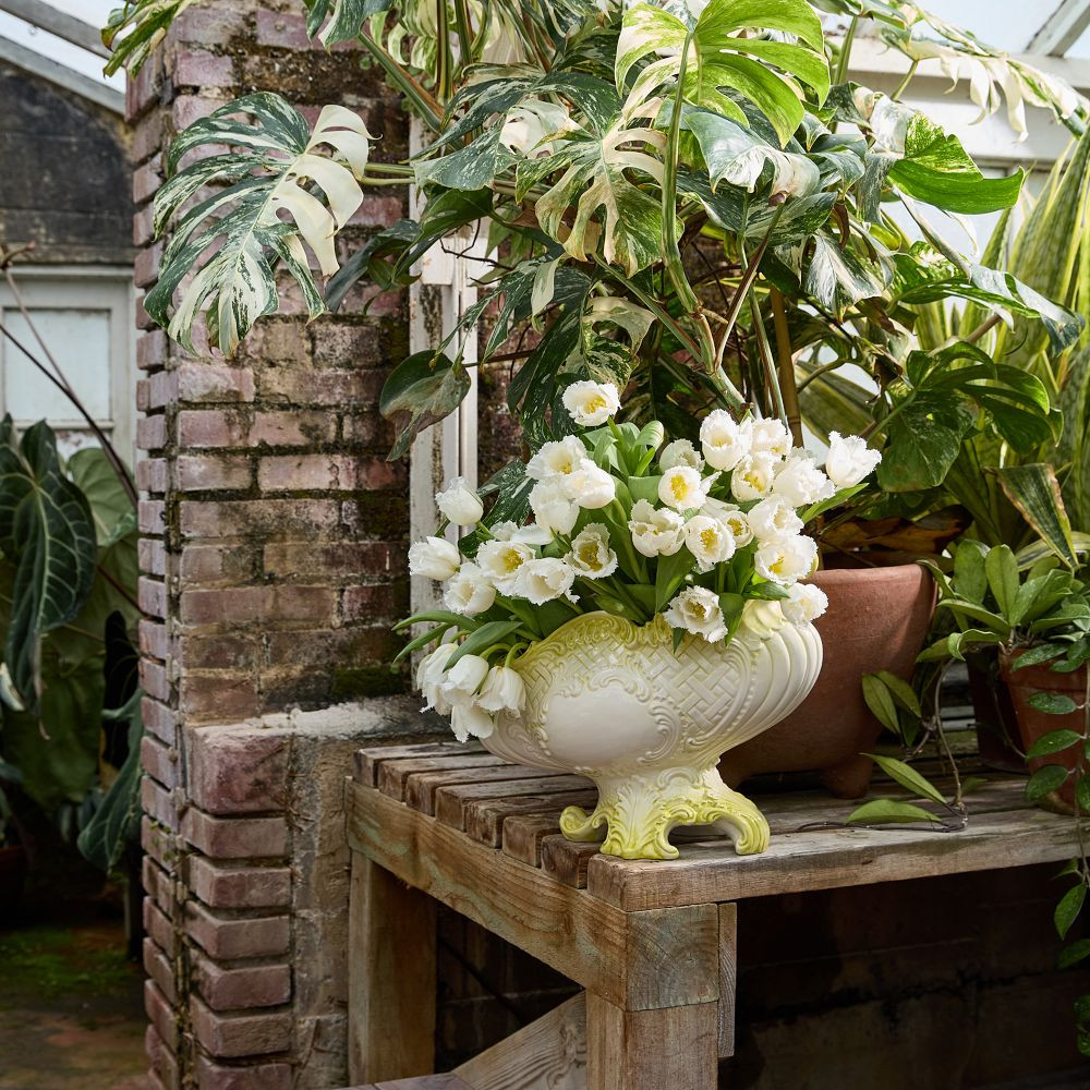 NYBG Quincey Vase | GreenRow