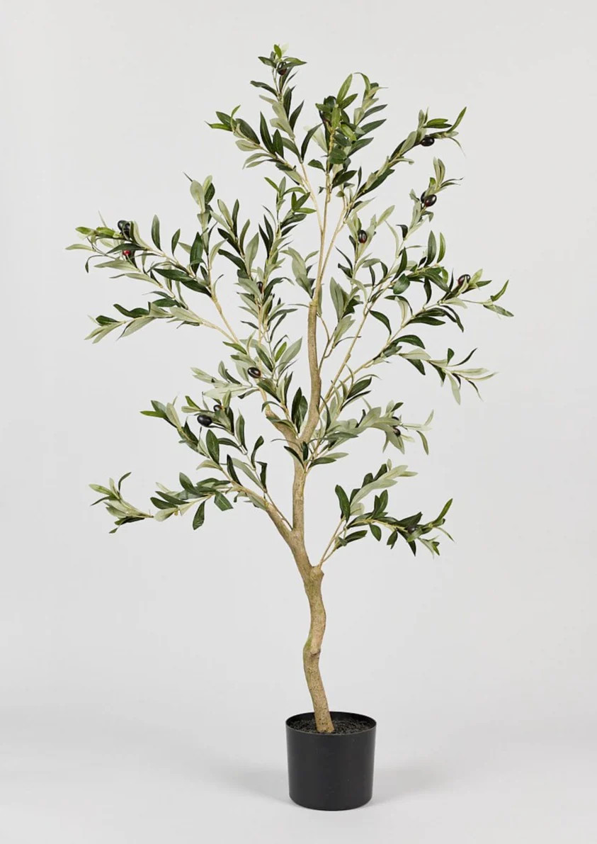 Artificial Potted Olive Tree Plant - 47.25" | Afloral