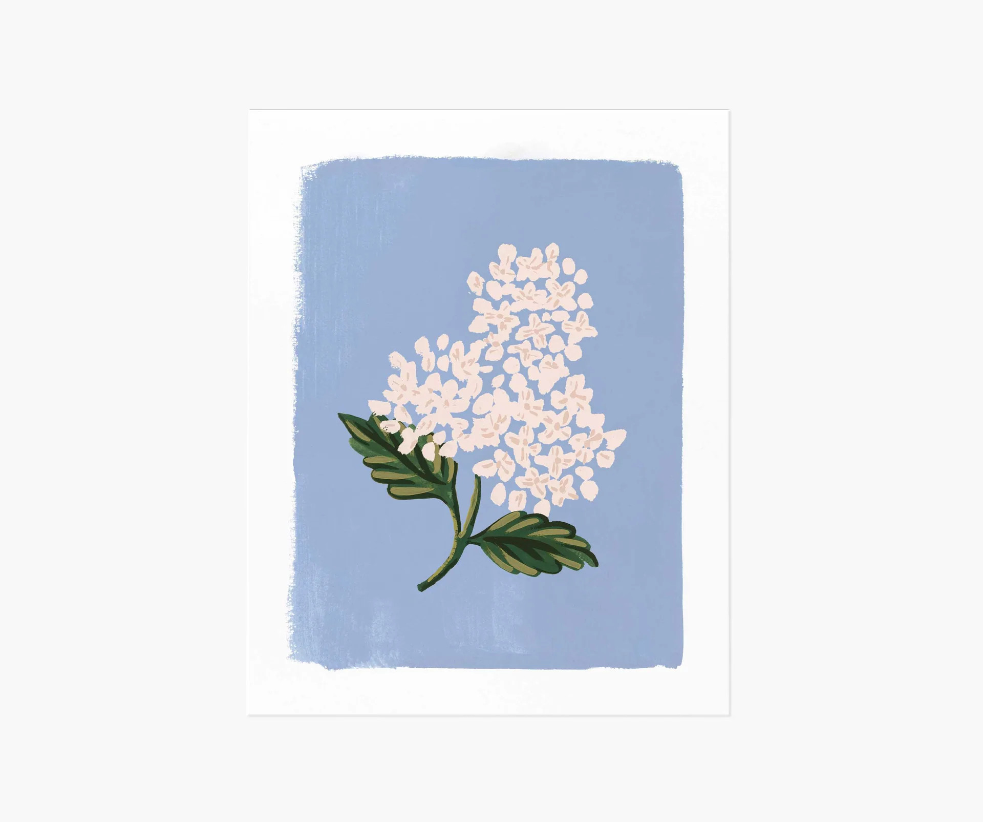 Hydrangea Bloom Blue Art Print | Rifle Paper Co.