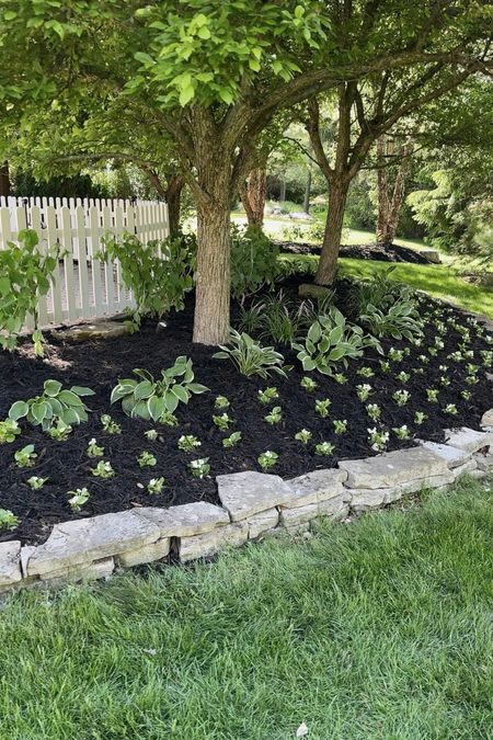 This was such a satisfying weekend project! #ad We refreshed all of our garden beds with the help of @loweshomeimprovement! We gave all the beds a crisp new edge and a fresh layer of our favorite Scotts NatureScapes black mulch. Right now it’s on major sale for 3/$10! #lowespartner

We’re so happy with how this project turned out, and have been spending so much time relaxing and enjoying our backyard this season! 

#LTKSummerSales #LTKHome #LTKSaleAlert