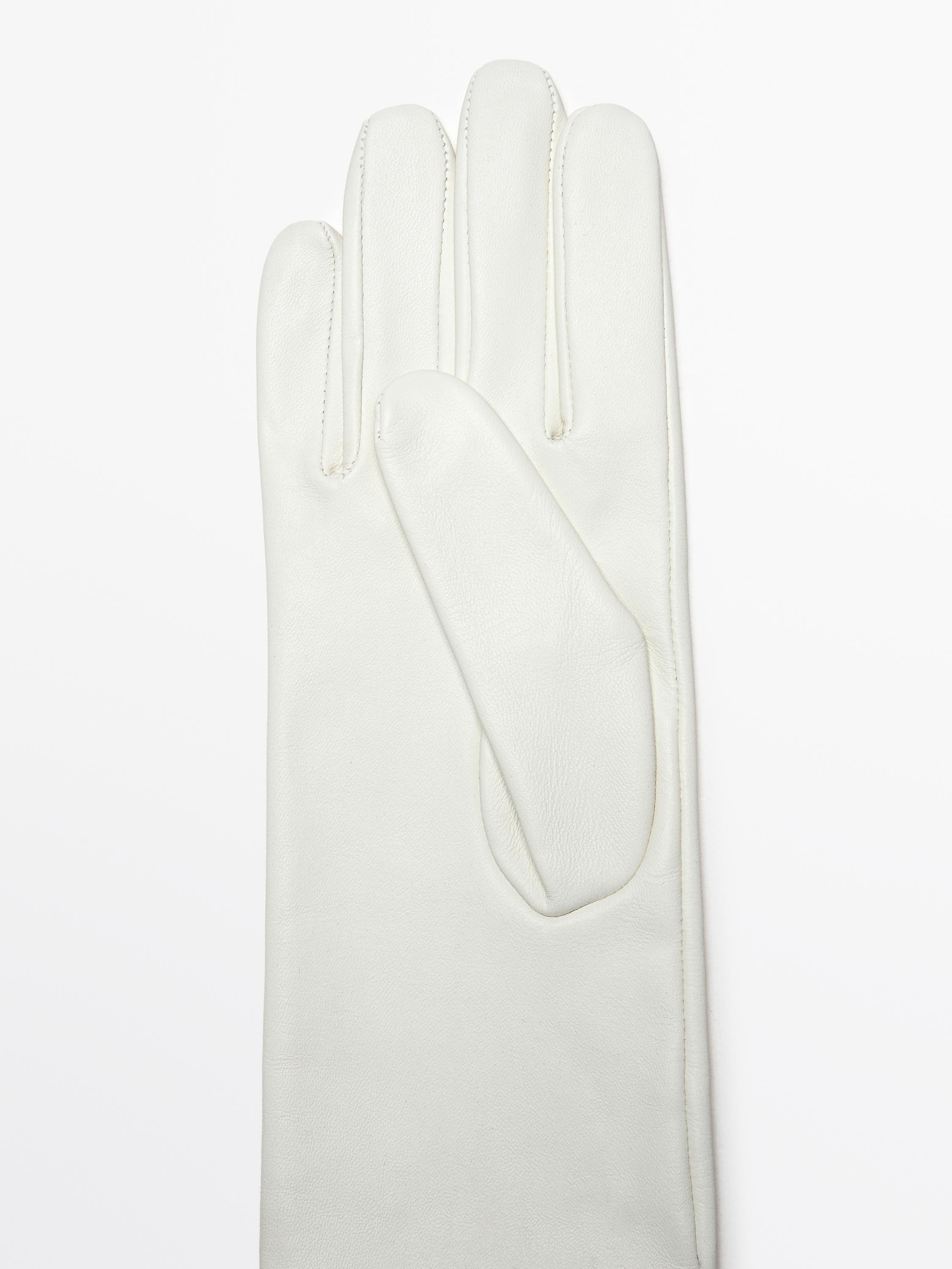 Gants longs en cuir ovin nappa | Massimo Dutti FR