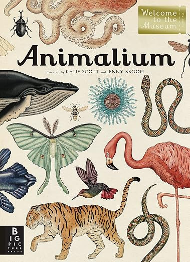 Animalium: Welcome to the Museum | Amazon (US)