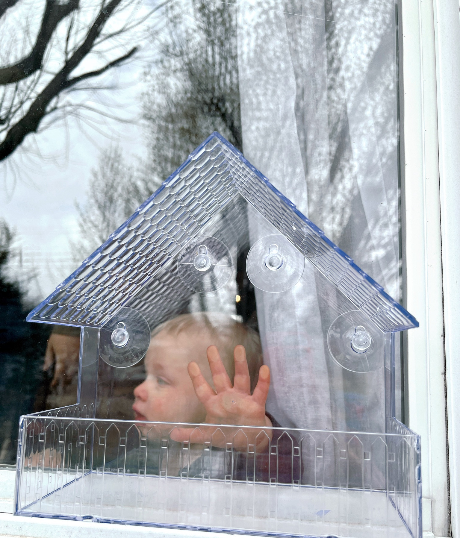 Check out your Target in the Bullseye section for this adorable clear bird house! If you can’t find it there, check out these options!

#LTKkids #LTKhome #LTKunder50