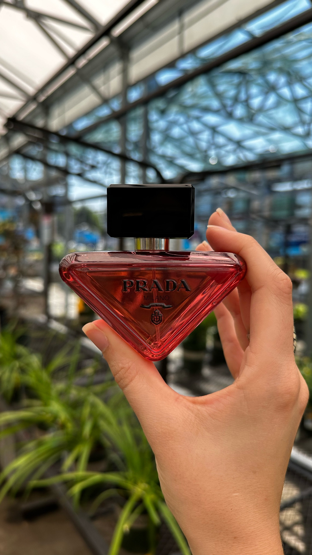 Prada’s Paradoxe Radical Essence parfum ✨ 

#LTKBeauty
