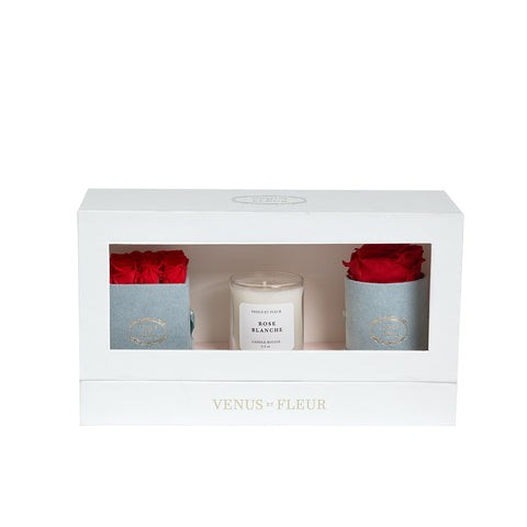 The Classic Bundle | Venus ET Fleur
