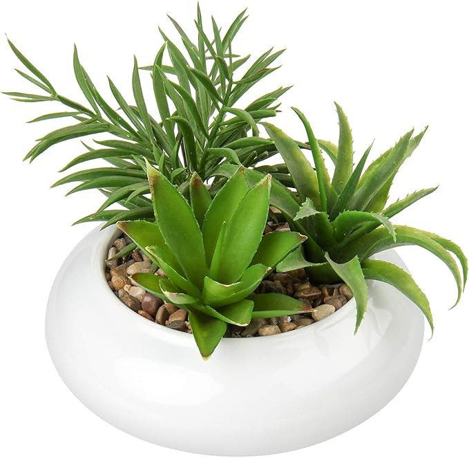 Hollyone Large Artificial Succulents Plants Faux Succulents in Pots Fake Succulent Plastic Potted... | Amazon (US)