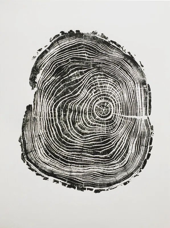 Tree Rings Art Print | Wayfair North America