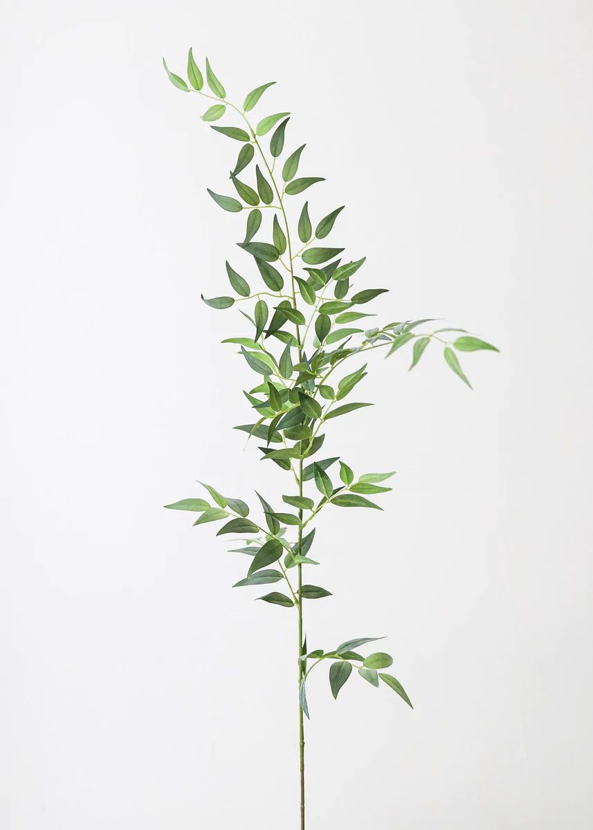 Fake Leaves Tall Italian Ruscus Branch - 49 | Afloral (US)