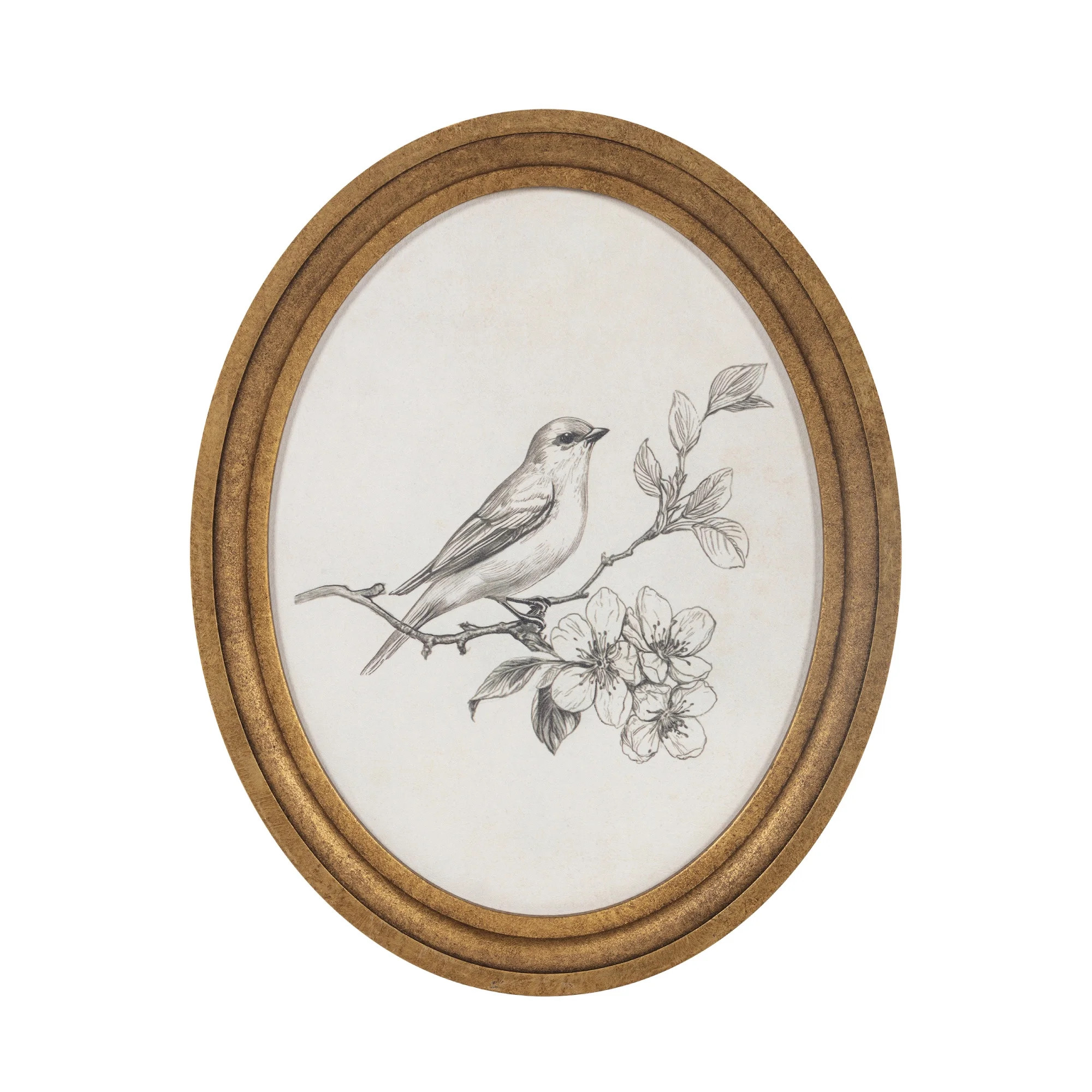 My Texas House Bird Sketch Round Embossed Textured Framed Antique Canvas Art 11x14 | Walmart (US)