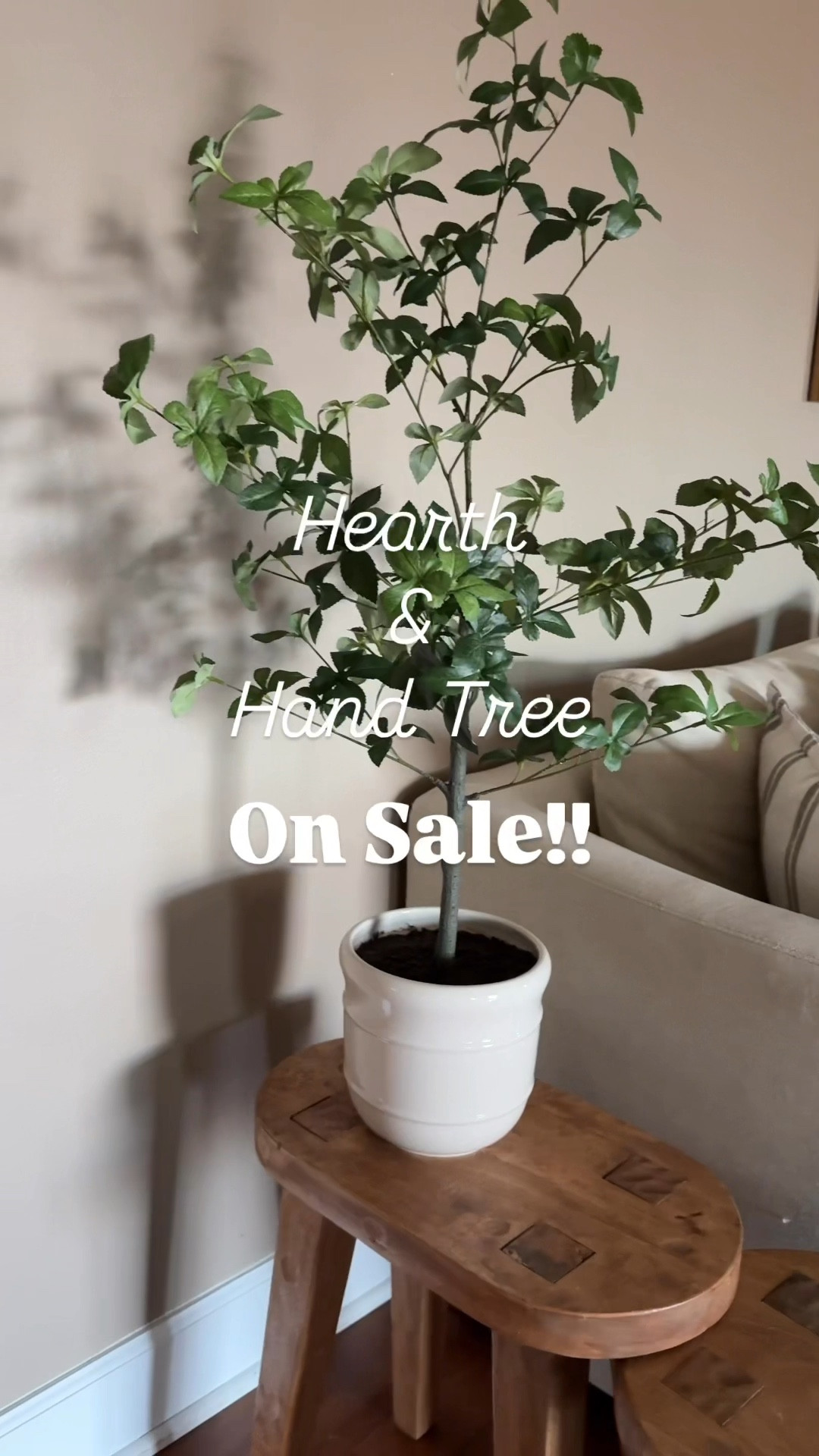 It’s Target Circle week! My favorite little tree from Hearth & Hand is on sale and it fits perfectly on the Threshold wooden tables (20% off too)! 

#LTKFindsUnder50 #LTKSaleAlert #LTKHome