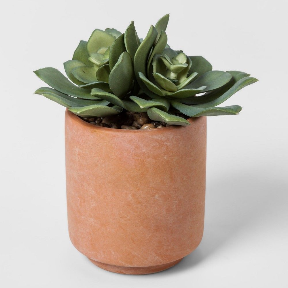 Faux Succulent in Terracotta Pot - Project 62 | Target