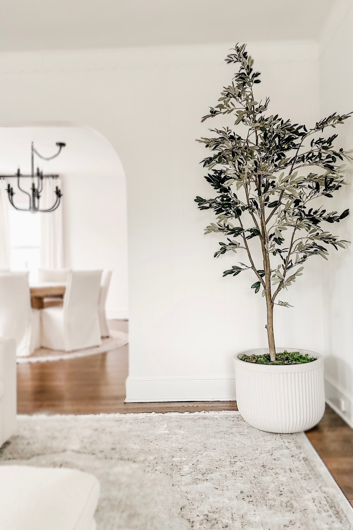 the best faux olive tree from Amazon 



#LTKhome