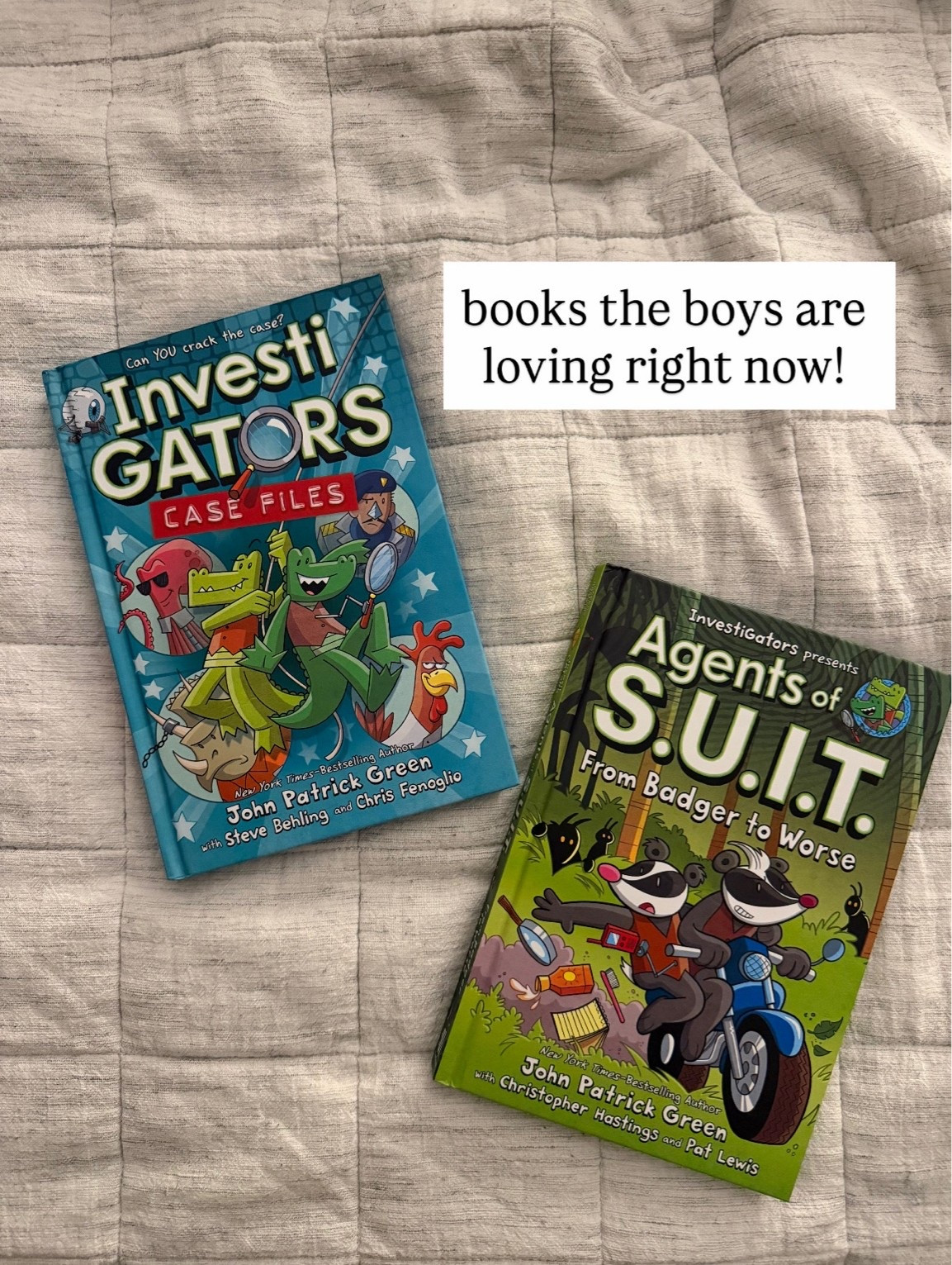 Here are some of the books our boys are loving right now!

#LTKKids #LTKstorytime #LTKmomlife