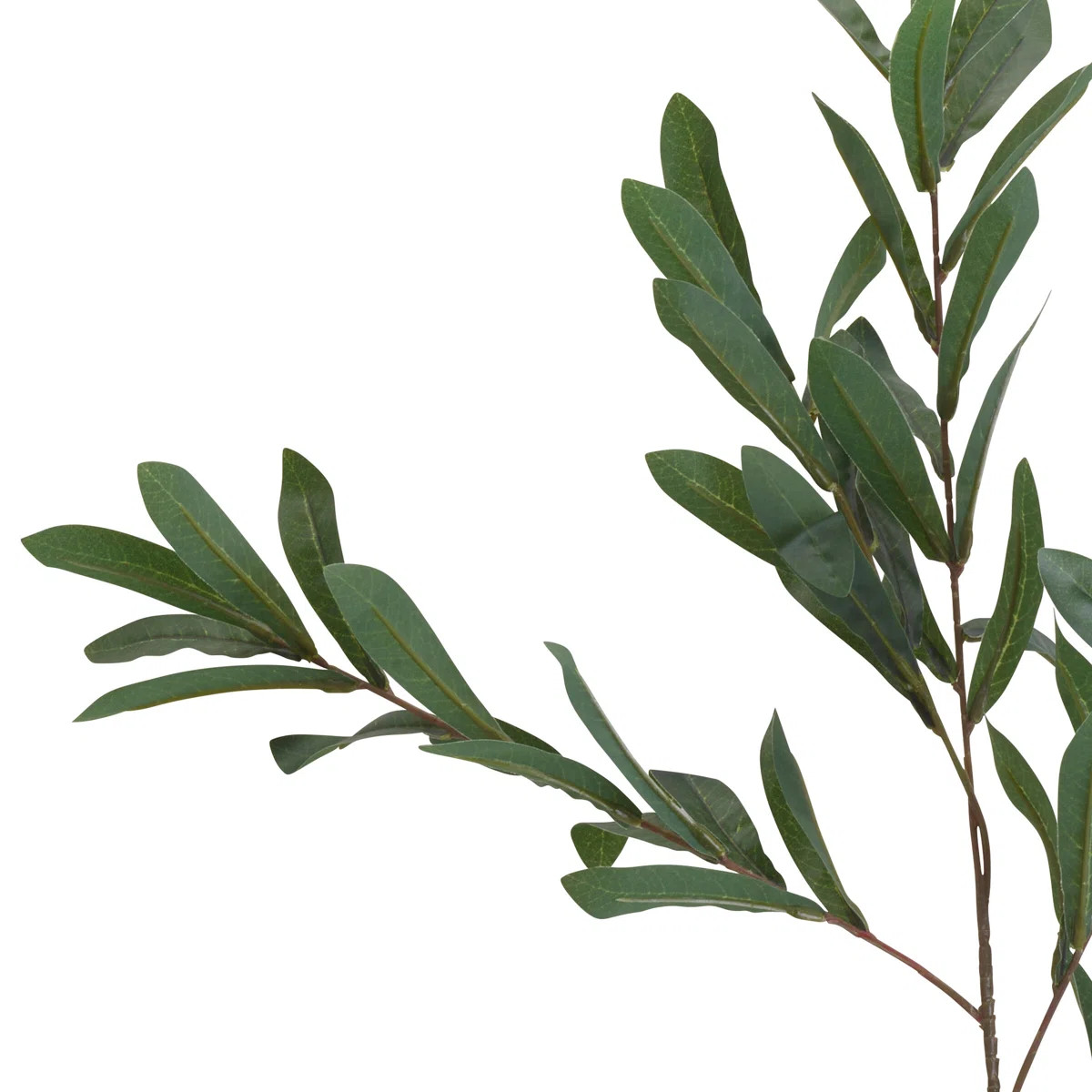 Elements Artificial Olive Branches In Vase | Wayfair North America