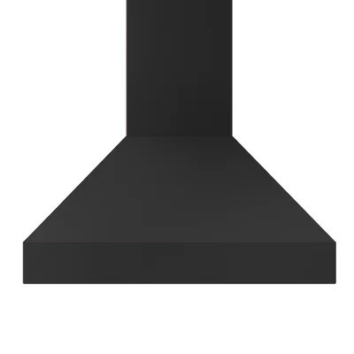 ZLINE Designer Series Wall Mount Range Hood | Wayfair North America