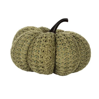 8" SAGE KNITTED PUMPKIN | Wayfair North America
