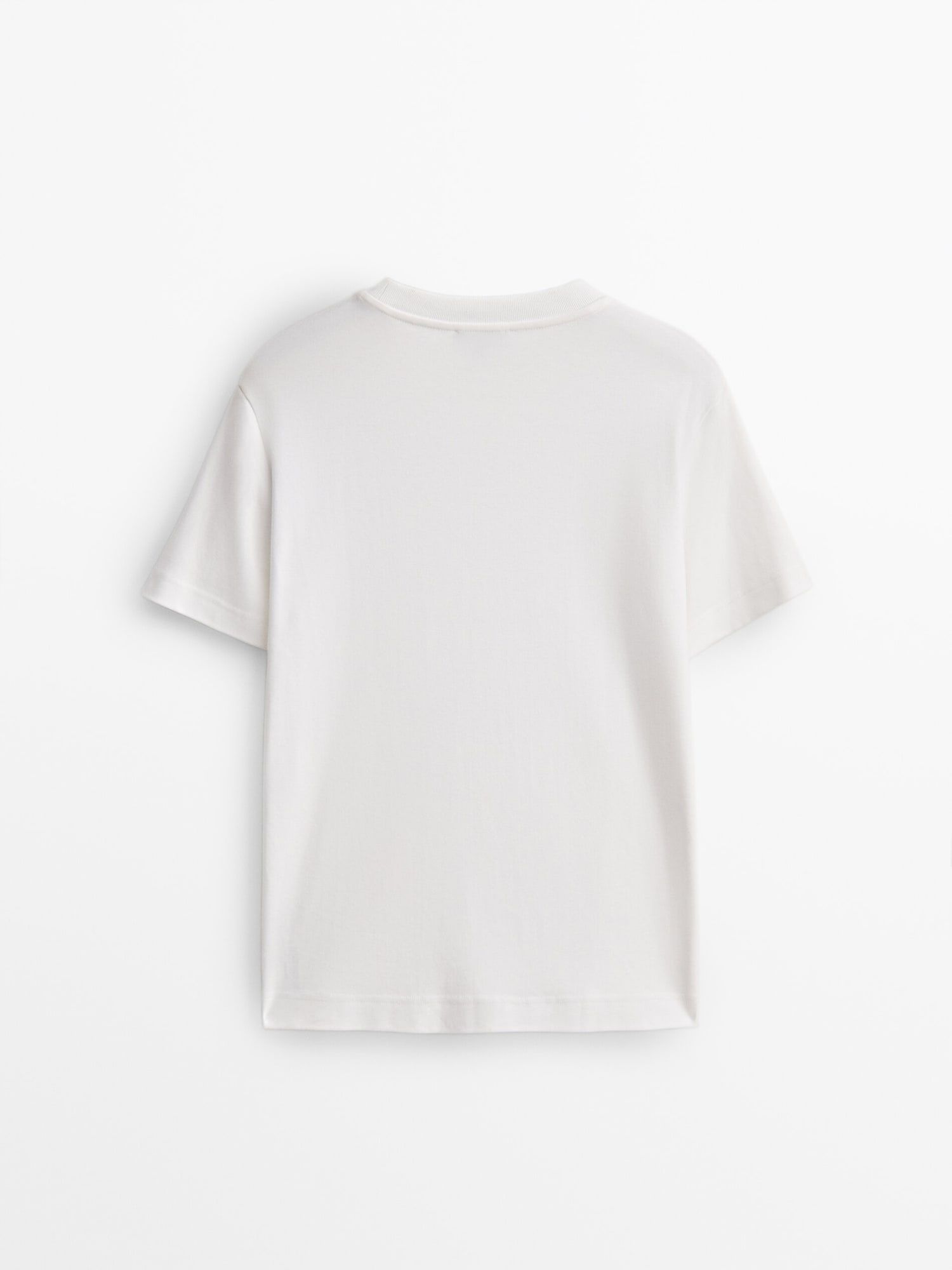 Short sleeve cotton t-shirt | Massimo Dutti UK
