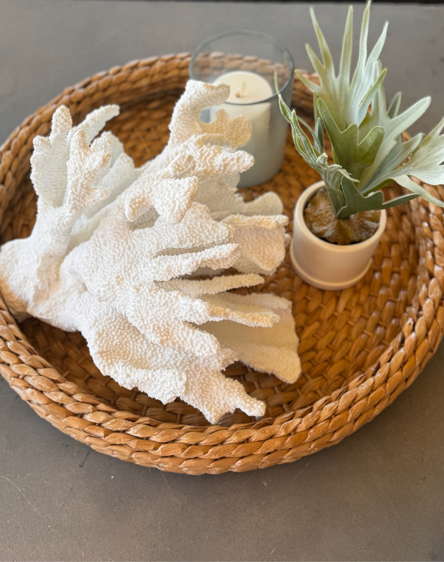 Love this piece 🐚 

#LTKover40 #LTKhome