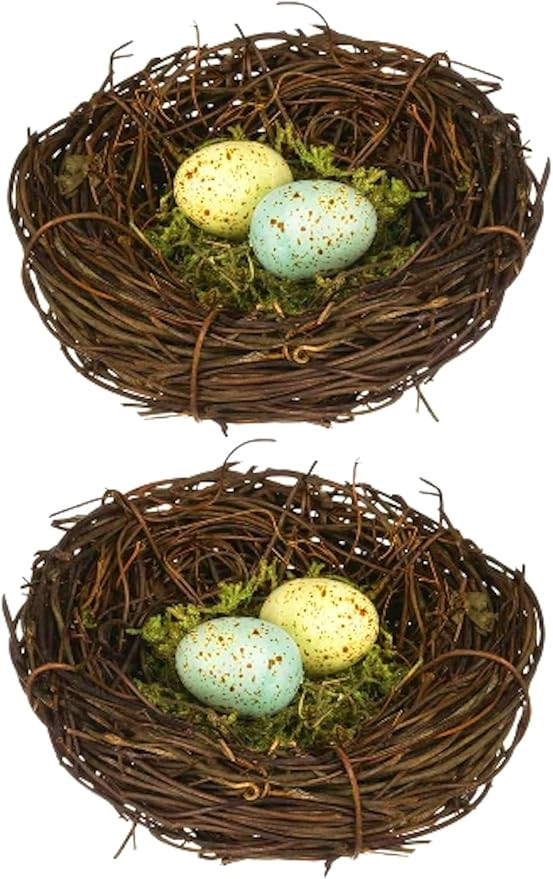 The Bridge Collection 4" and 3.5" Speckled Eggs Bird Nest - Set of 2 - Grapevine Decorations - De... | Amazon (US)