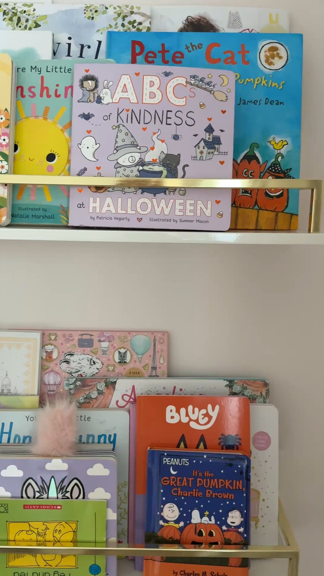 What’s on Josie’s book shelf for fall! 

Toddler books // toddler room // fall gift ideas // boo basket 

#LTKKids #LTKFamily