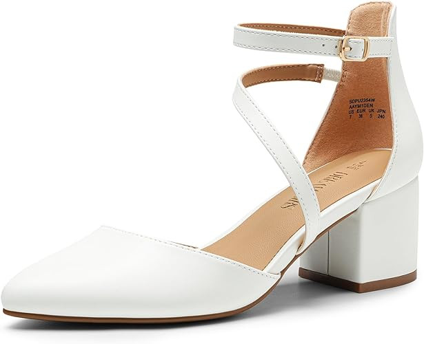 DREAM PAIRS Women's Closed Pointed Toe Low Chunky Heels Pumps Ankle Strap Wedding Business Dressy... | Amazon (US)