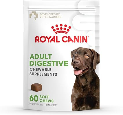 Royal Canin Digestive Dog Supplement Soft Chews for Adult Dogs, 60 Count | Amazon (US)